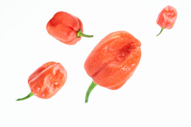 istock chili peppers or naga chili flying isolate on white background 1395203644
