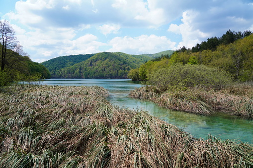 Spring, lake, stream, wilderness