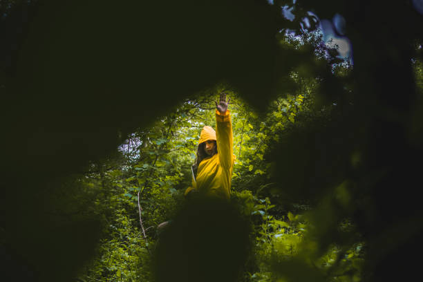 istock A walk through the woods in the rain 1395204382