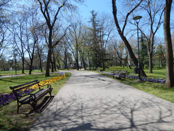 istock Walkway with benches lined with grass and spring flowers. City park in the spring. Empty trail 1395205106