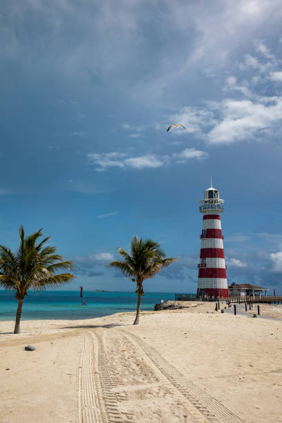 istock Tropical trees growing on the sand in front of navigation lighting equipment 1395205809