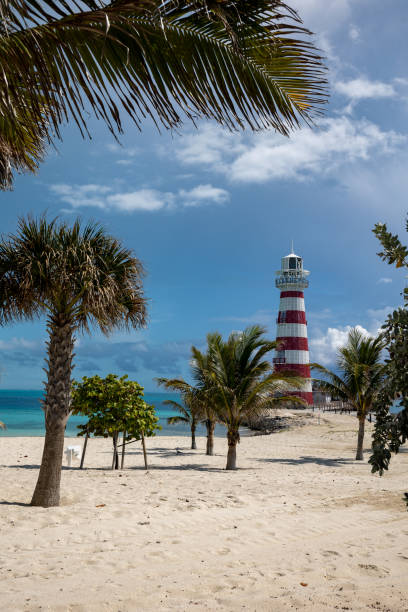 istock Lighthouse painted in red and white stripes visible between palm trees on a tropical island beach 1395205810