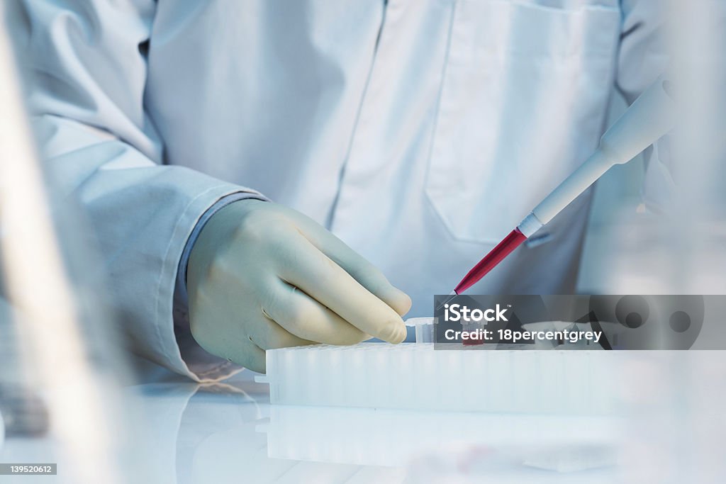 close up of scientist using pipette in laboratory close up of scientist using pipette in laboratory selective focus Biotechnology Stock Photo