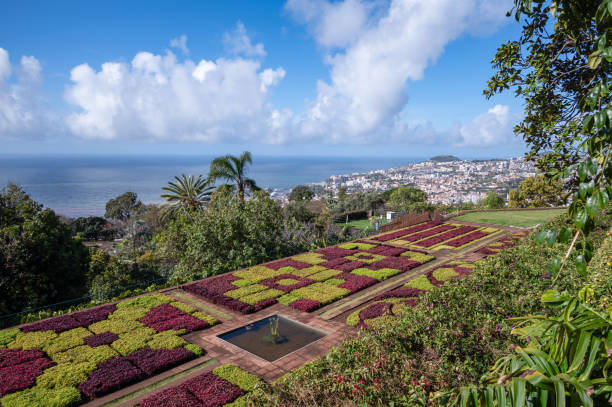 istock Madeira Botanical Garden 1395213905