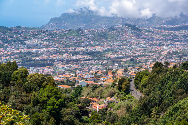 istock Panoramic view of Funchal 1395213931
