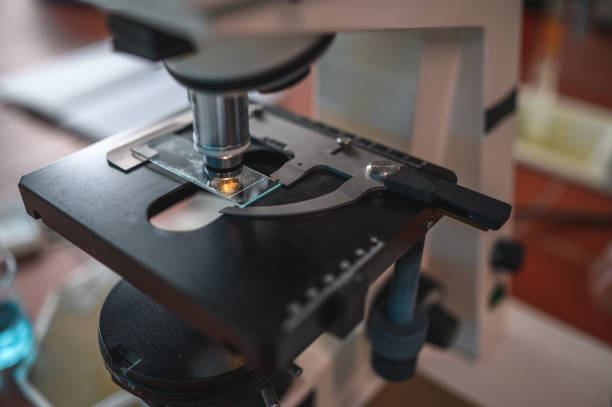 Close up of a light microscope, ready for use with specimen on a glass plat in place.  A small container with blue liquid on the other side of a tiled laboratory counter. Natural light, high angle view.