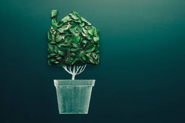 ökologie-hauskonzept. grüne pflanze in einem topf in form eines hauses. symbol für grün und ökologie und energie sauberes haus - blackboard sign ideas recycling stock-fotos und bilder