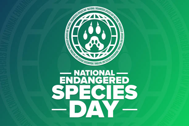 National Endangered Species Day. Holiday concept. Template for background, banner, card, poster with text inscription. Vector EPS10 illustration. National Endangered Species Day. Holiday concept. Template for background, banner, card, poster with text inscription. Vector EPS10 illustration endangered species stock illustrations