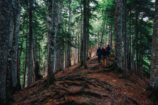 istock group of people hiking in the forest 1395224018