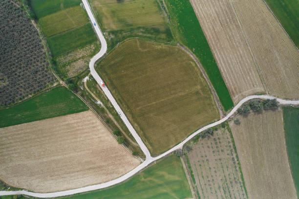 Aerial view of fields stock photo