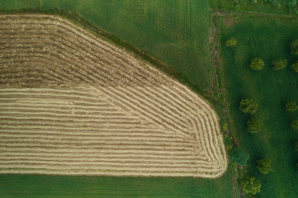 istock Aerial view of fields 1395224993