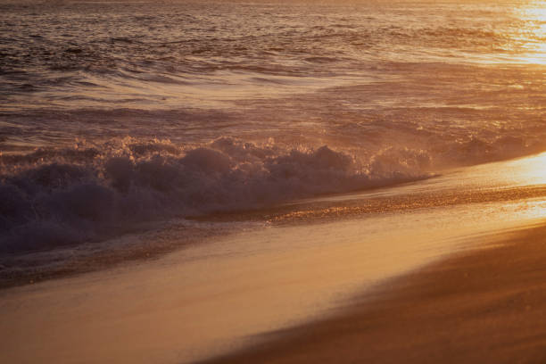 istock Sunset in the tropical beach 1395225075
