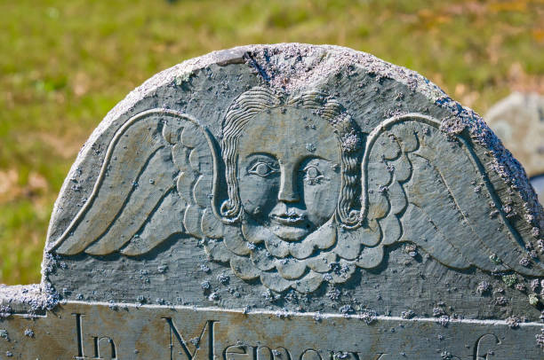istock Lichens on the Ancient Gravestone 1395225348