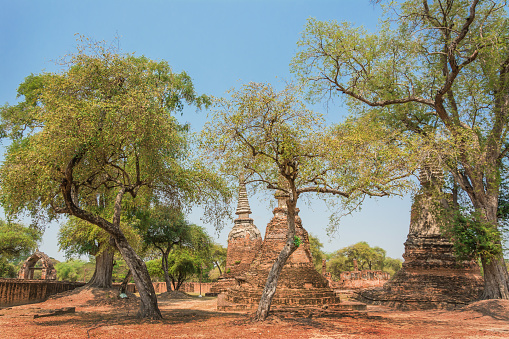 THAILAND Ruins and Antiques at the Ayutthaya Historical Park Tourists from around the world Buddha decay