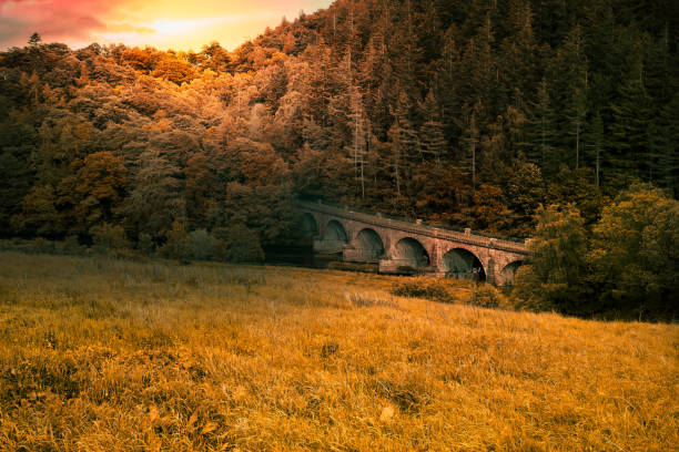 neidpath viadukt sandstein vintage bogenbrücke. - peebles stock-fotos und bilder