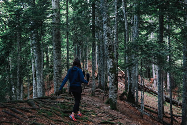 istock young woman hiking in the forest 1395227463