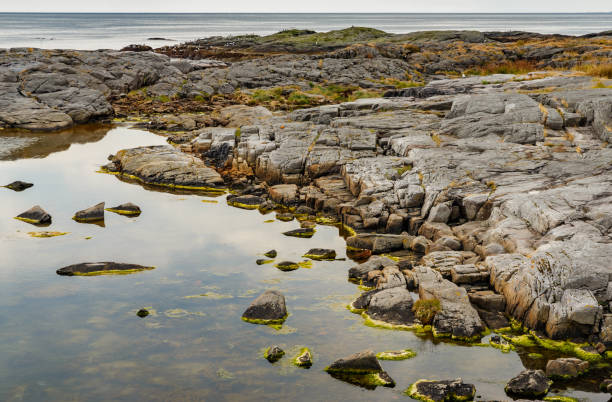 istock Norwegian seascape, rocky coast with dramatic skies, the coast is partially covered with grass, shallow at low tide, sheer cliffs, 1395235607