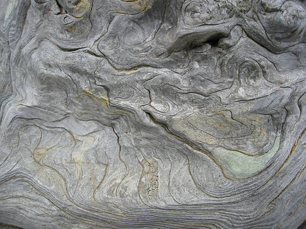 istock Bark detail on driftwood 2 139523611