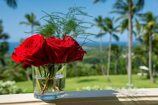 A bouquet of red roses in a vase, with a background of palm trees in the Caribbean.
