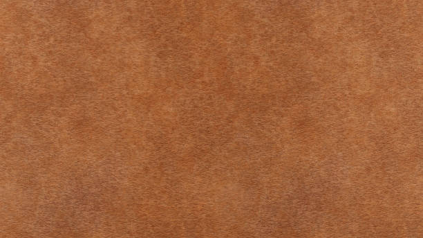 istock Textured skin background close up 1395240650