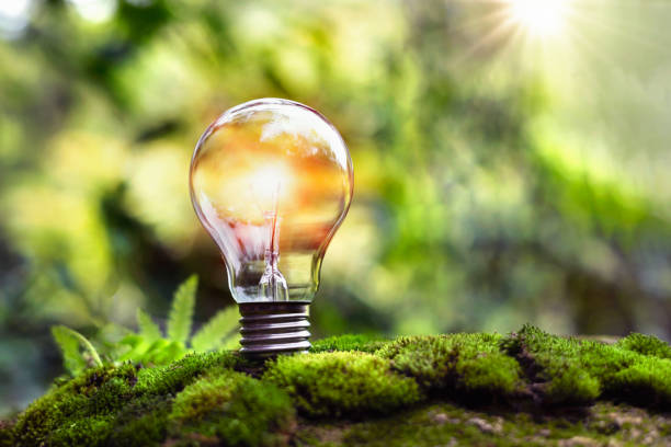 istock light bulb on green grass and sunlight in nature. concept of energy saving 1395240699