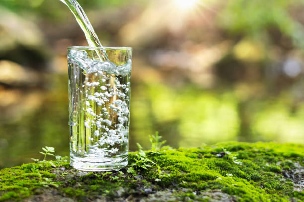 istock Pour water into glass on green grass in nature 1395241433