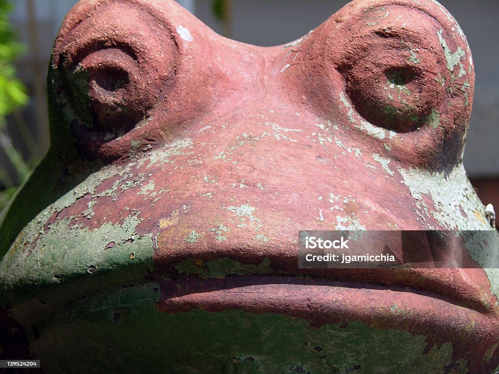 Duża żaba - Zbiór zdjęć royalty-free (Dekoracja)