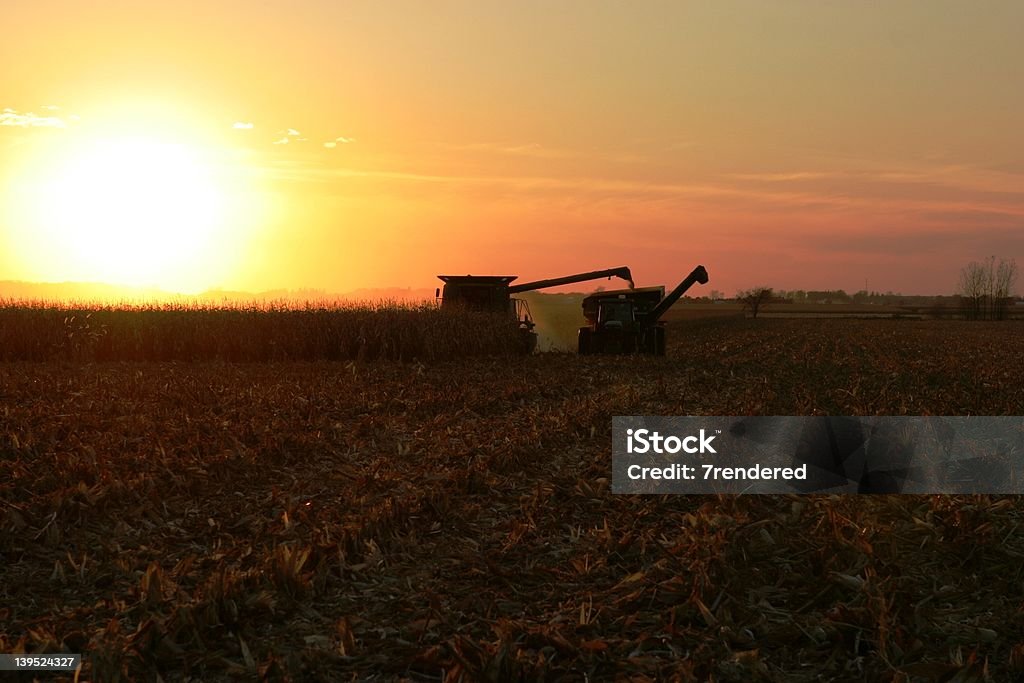 Acabado en este campo. - Foto de stock de Campo - Tierra cultivada libre de derechos