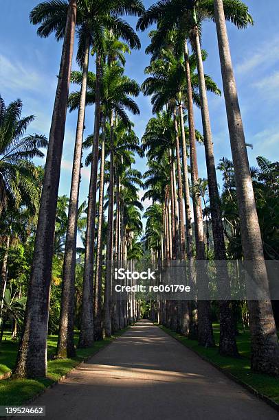 Botanical Garden Stock Photo - Download Image Now - Air Pump, Botany, Branch - Plant Part