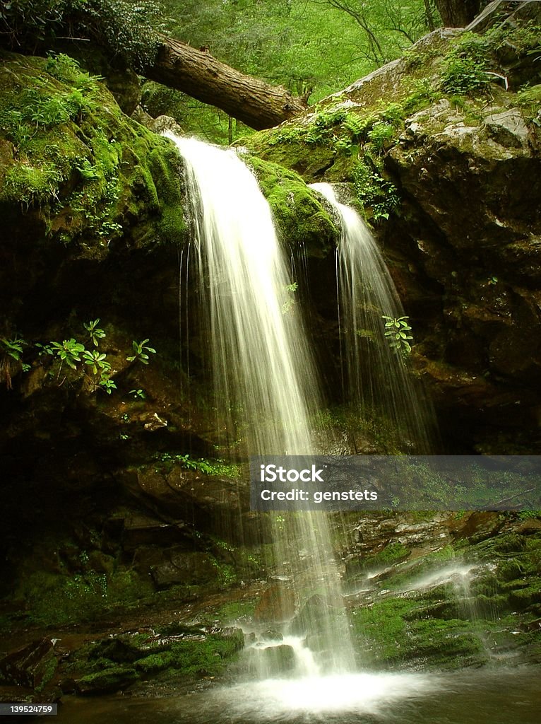 A gruta com cascata, Tennessee. - Foto de stock de Bosque - Floresta royalty-free