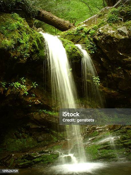 Foto de A Gruta Com Cascata Tennessee e mais fotos de stock de Bosque - Floresta - Bosque - Floresta, Cascata, Cena Rural