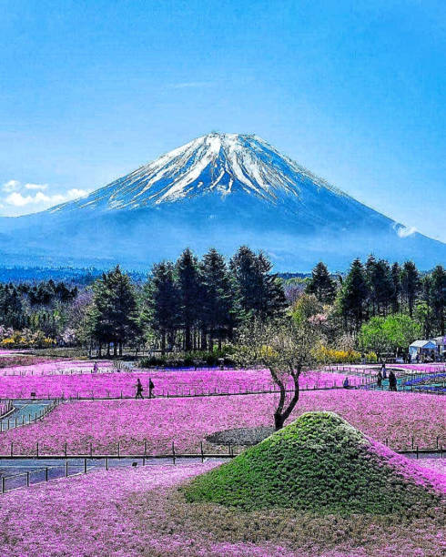 Mount Fuji (or Fujisan) is arguably the most famous landmark in Japan – recognizable miles away with its symmetrical cone shape and bright white peak.10 Apr 2022