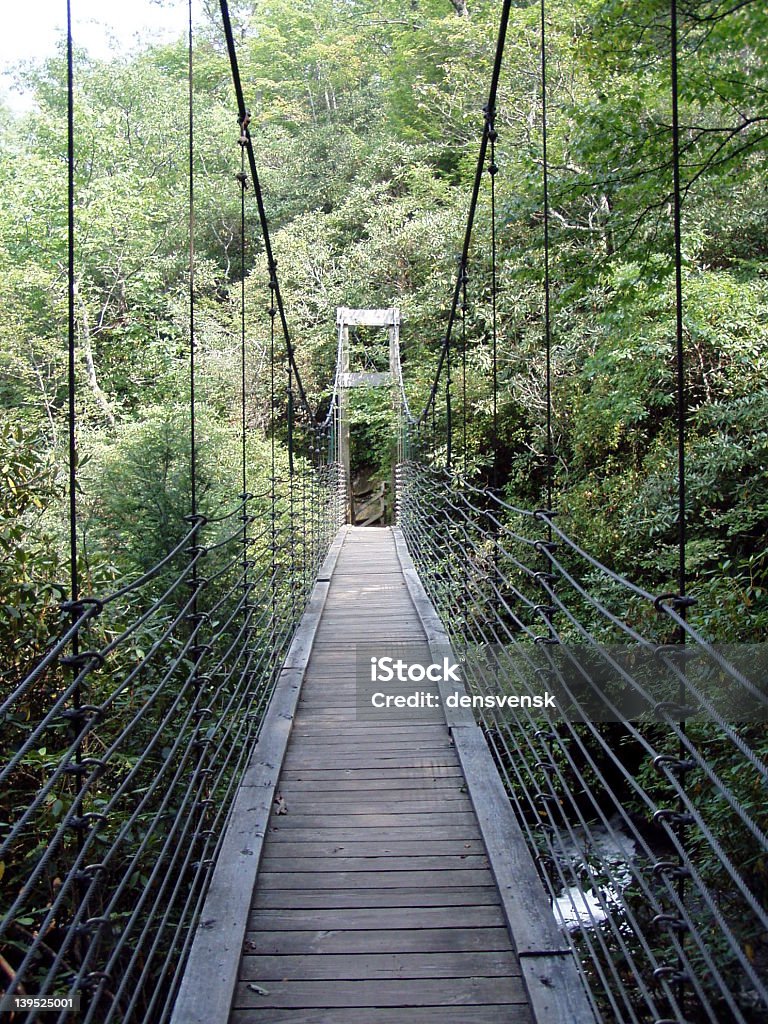 Bridge in Wilderness This bridge is located above Raven Cliff Falls in South Carolina. Falling Stock Photo