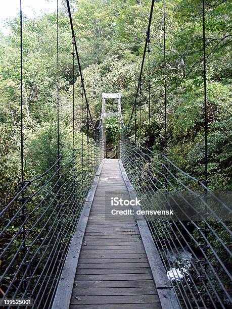 Bridge In Wilderness Stock Photo - Download Image Now - Falling, Cliff, South Carolina