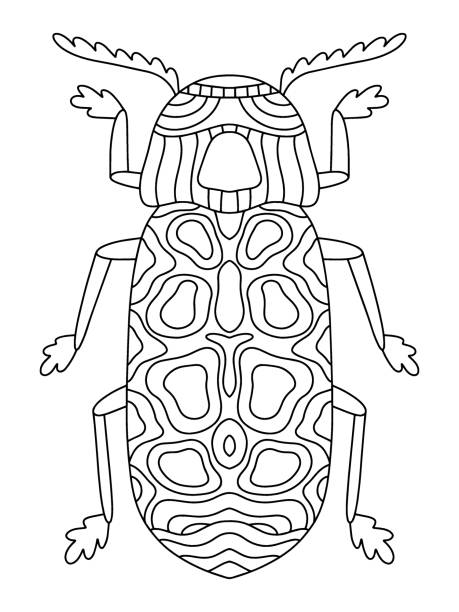 illustrations, cliparts, dessins animés et icônes de impression linéaire stylisée de scarabée du pain dessinée à la main isolée sur une illustration vectorielle blanche - stégobie des pharmacies