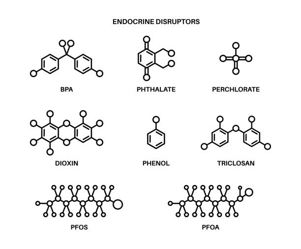 Endocrine disruptors formula Bisphenol, PFO, triclosanand, phenol and dioxin molecular formula icons. Endocrine disruptors concept. Organic pollutants in the environment. Set with chemical compounds vector illustration. persistent organic pollutants stock illustrations