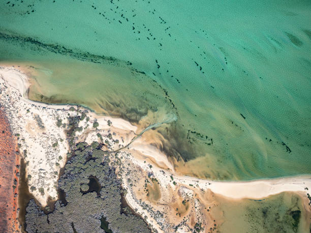 istock Aerial view of water and sand patterns 1395256830