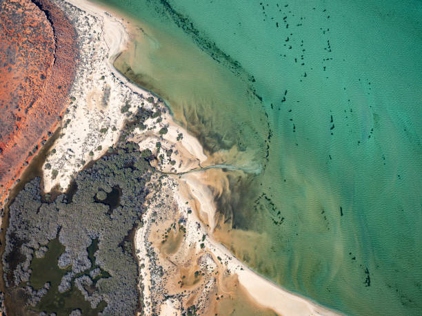 istock Aerial view of water and sand patterns 1395256833