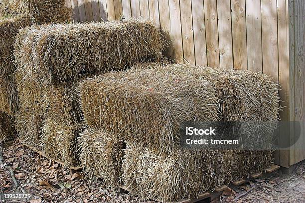 Foto de Fardos De Palha e mais fotos de stock de Abrigo de Jardim - Abrigo de Jardim, Ajardinado, Alimentar