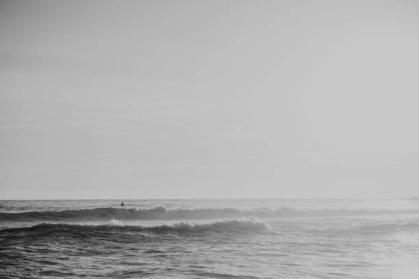 istock beach in the black and white 1395261109