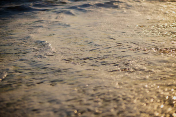 sunset in the beach