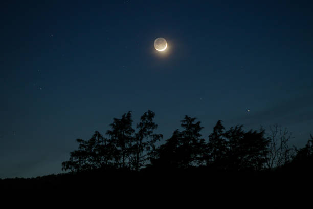 istock Dark Side of the Moon 1395261909