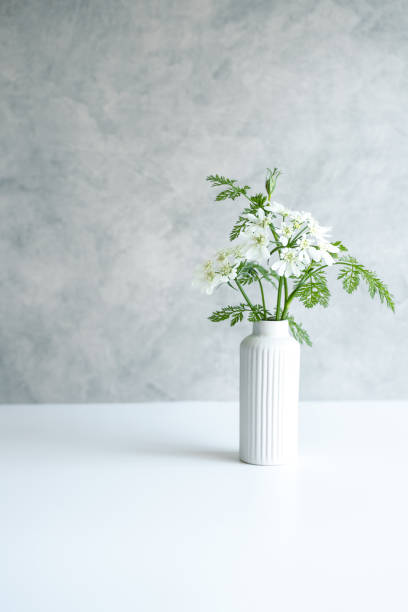 istock Simple background of white flowers 1395262990