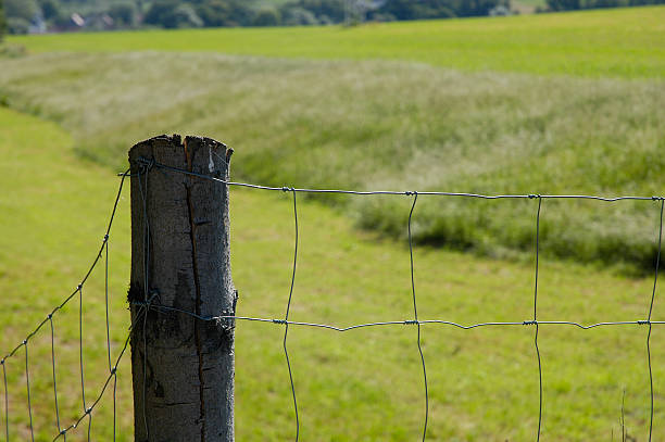 wired fence stock photo