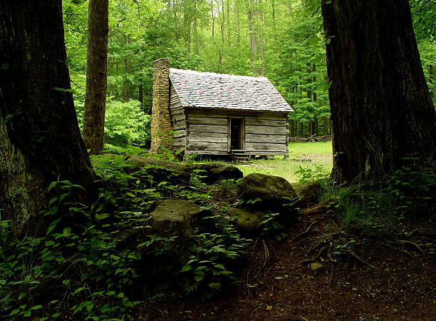 a antiga casa. - gatlinburg waterfall smoke usa - fotografias e filmes do acervo