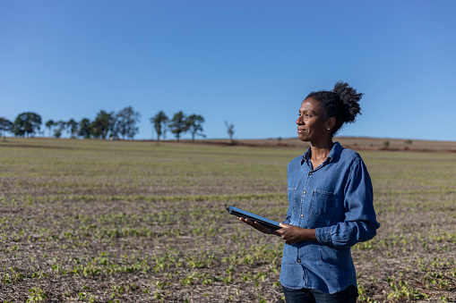 Black woman looking at the horizon in the field