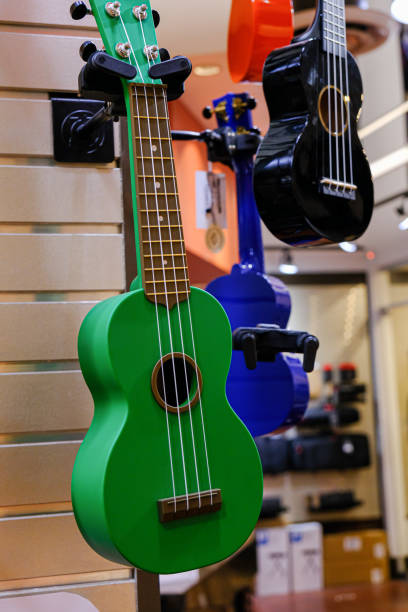 istock Guitars on display in music instruments store in a mall 1395266134