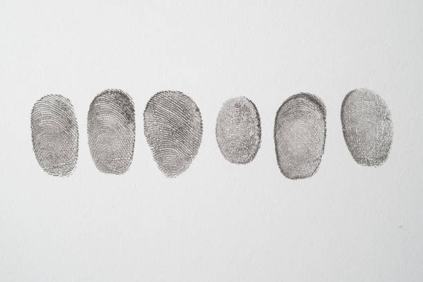 istock different black fingerprints on a paper close up , 1395266375