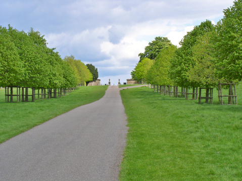 Tree-lined pathway in English country grounds
