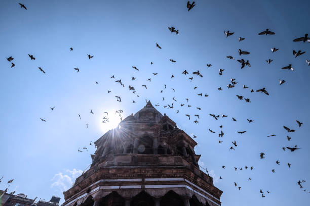 istock Pashupatinath Temple, Bhaktapur, Nepal 1395267504
